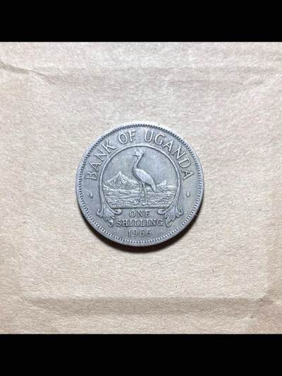乌干达1966年1先令铜镍币