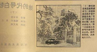 她的代号白牡丹