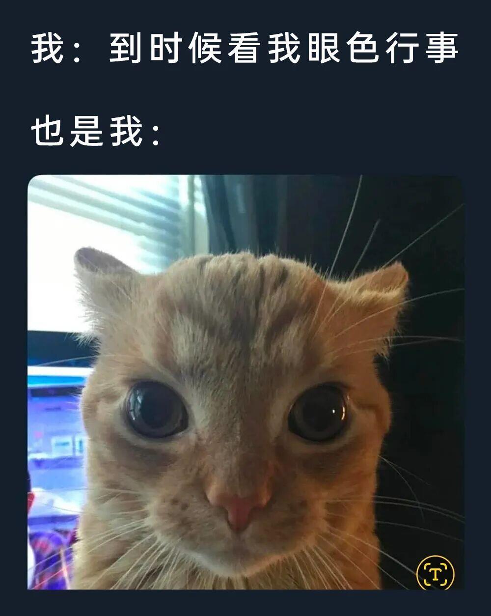 1967年葡属东帝汶50埃斯库多纸币