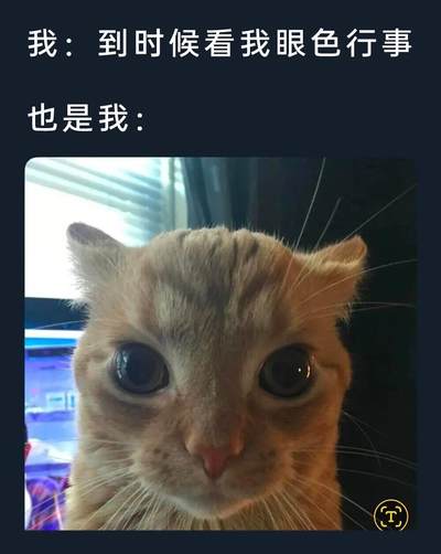 1967年葡属东帝汶50埃斯库多纸币