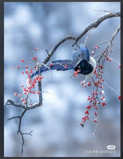 英属印度1920年乔治五世1卢比银币