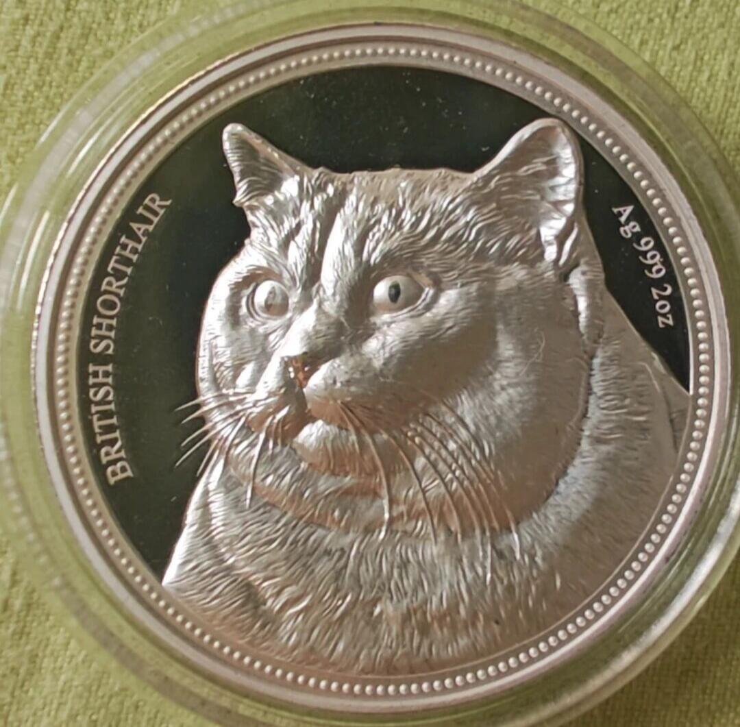 2018年纽埃发行的英国短毛猫2盎司纪念银币