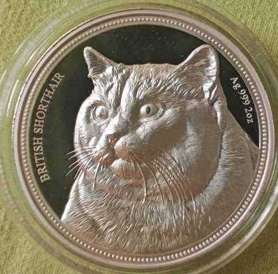 2018年纽埃发行的英国短毛猫2盎司纪念银币