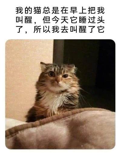 1990年版中非共和国1000中非法郎（CFA）纸币