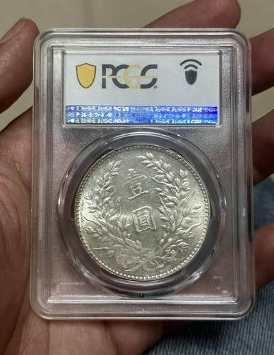 这是什么版本袁大头？