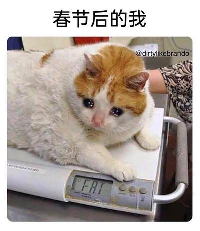 2015年英国不列颠女神1盎司投资银币