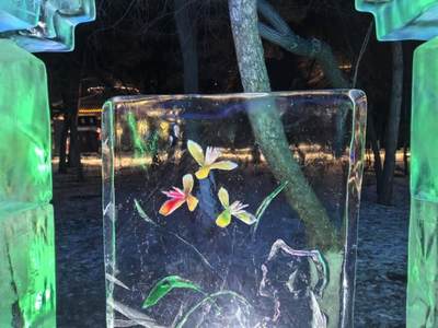 哈尔滨兆麟公园