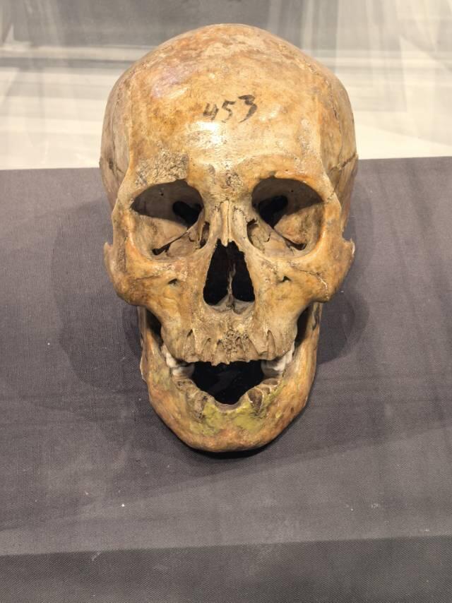 周口店北京人遗址