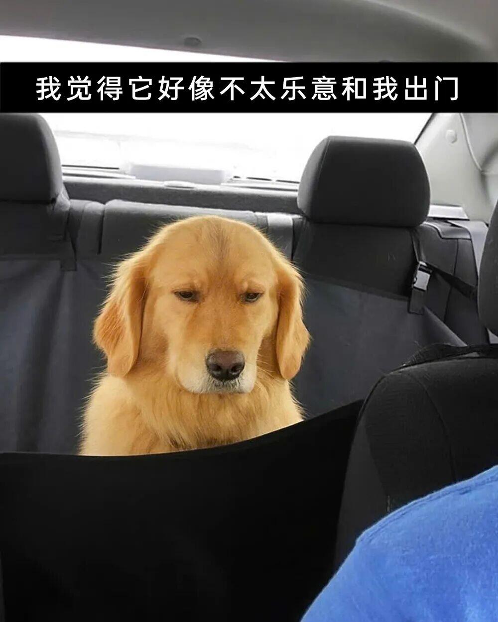 托斯卡纳公国“玫瑰币”（Pezza della Rosa）