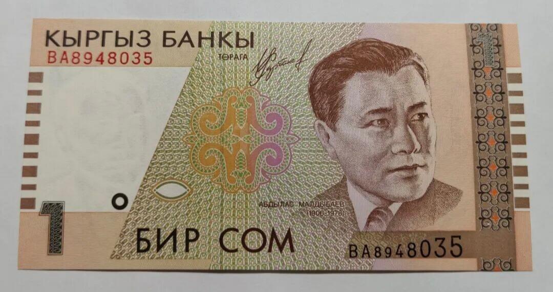 吉尔吉斯斯坦1索姆（БИР СОМ）纸币