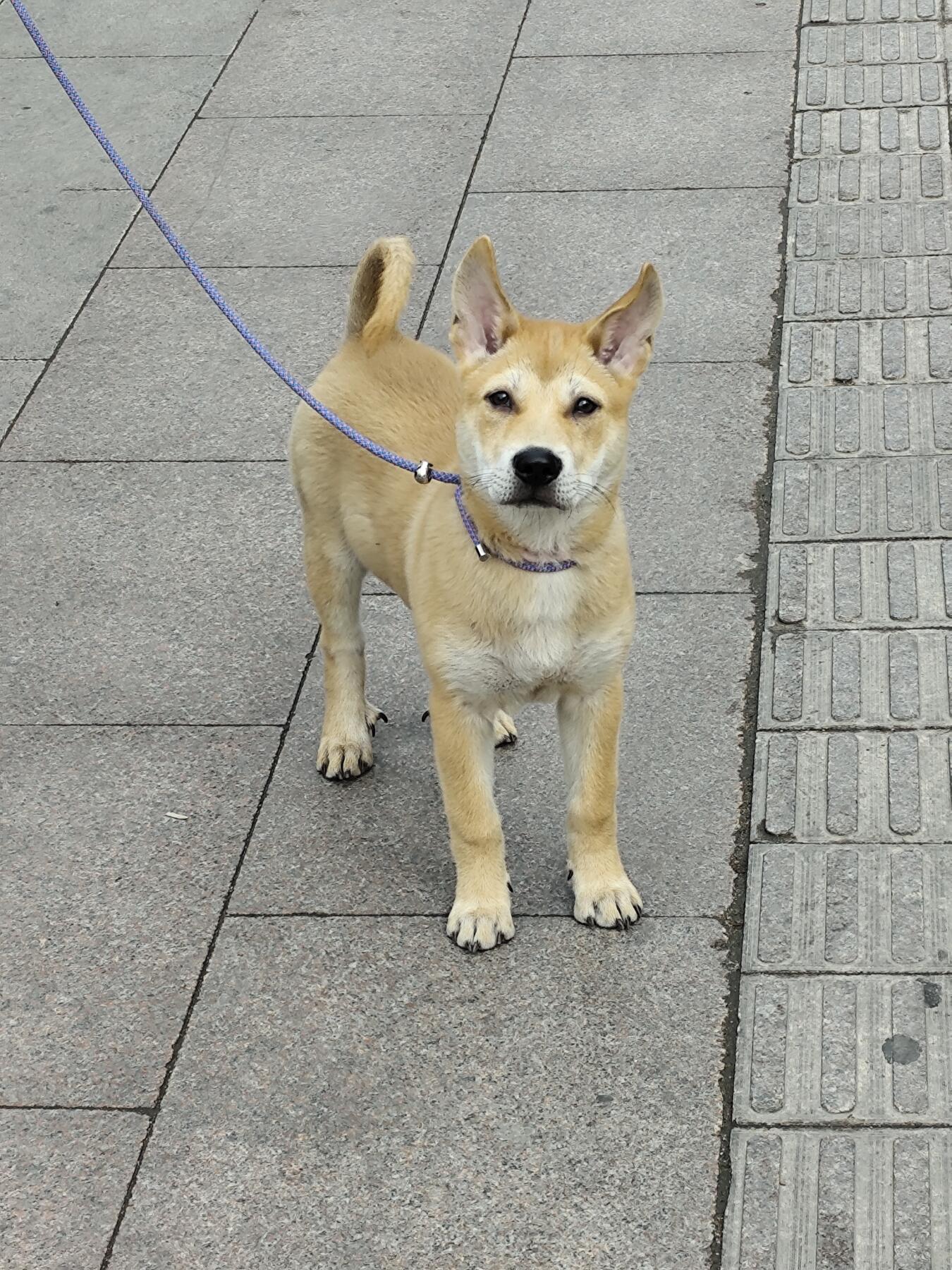 民国时期商业银行发行的纸币两张