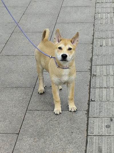 民国时期商业银行发行的纸币两张