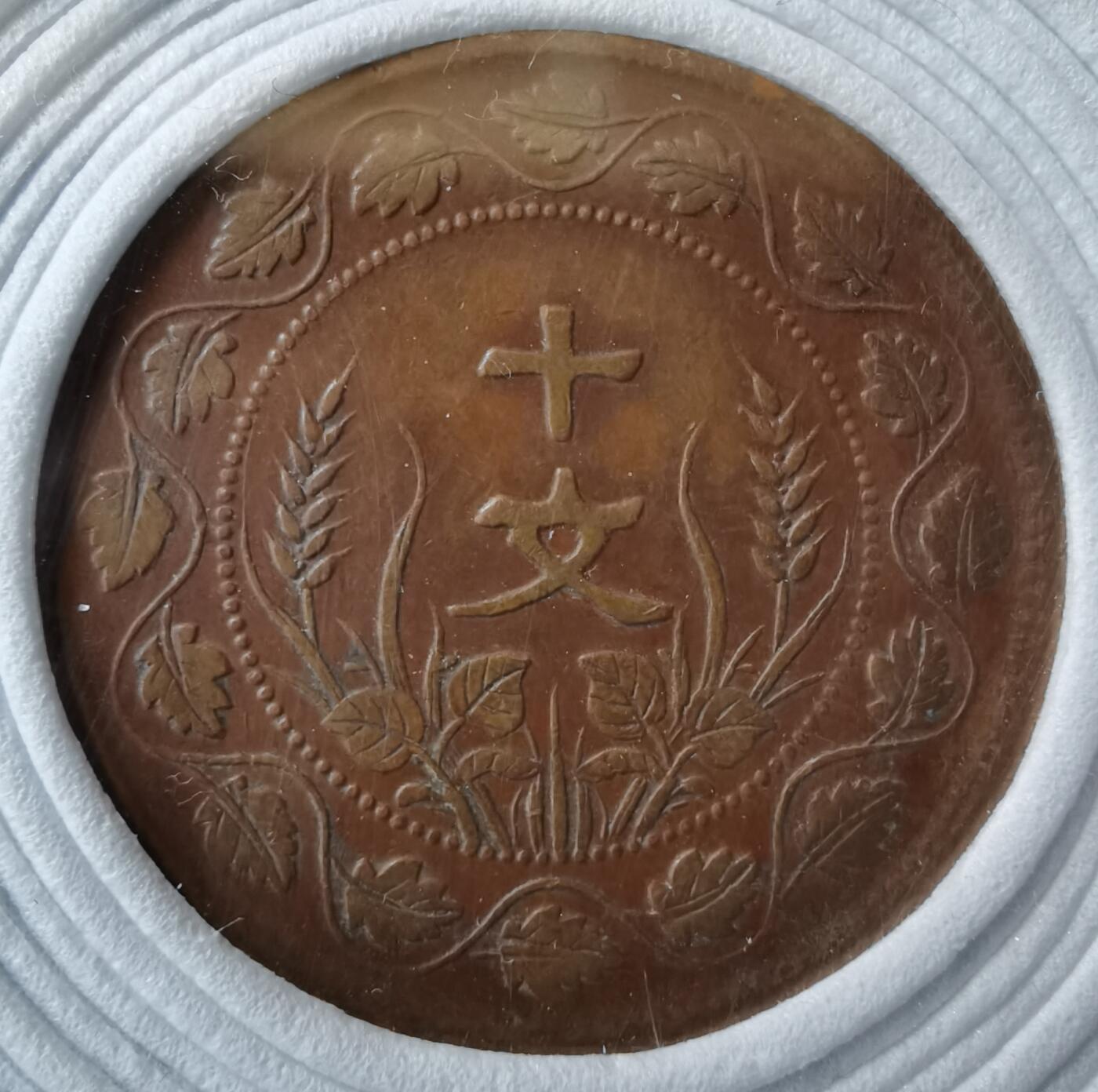 安庆版莲叶纹隶书十文铜元