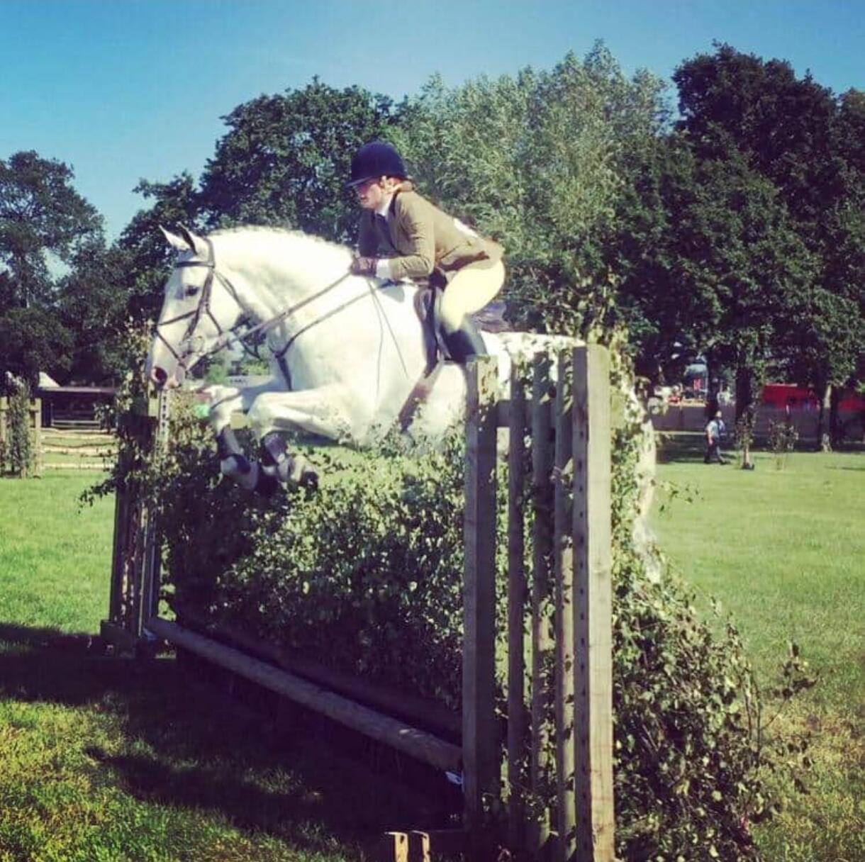 马年说马币：爱尔兰末版20便士硬币