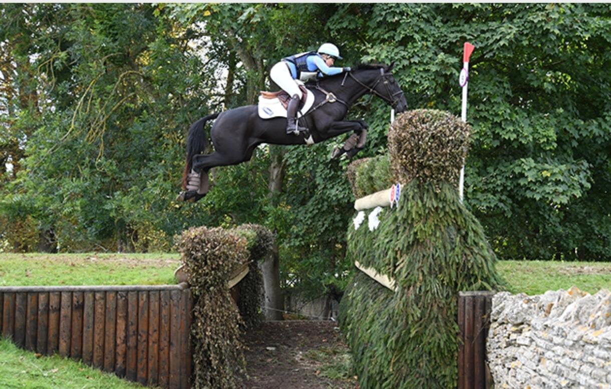 马年说马币：爱尔兰末版20便士硬币