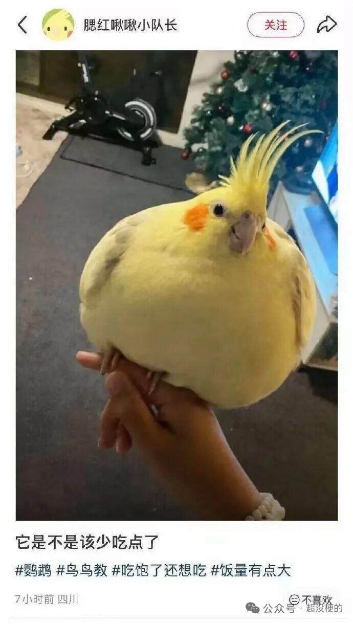 1895年墨西哥8里亚尔（8R）花边鹰洋银币