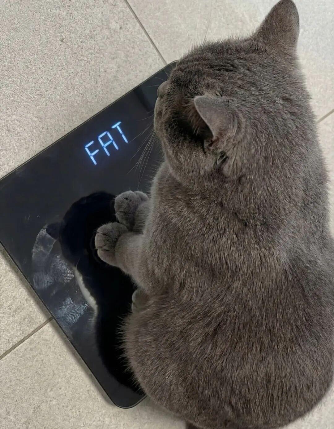 希腊1939年版1000德拉克马纸币