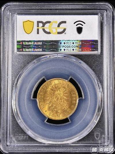 欣赏一下雨安的金币