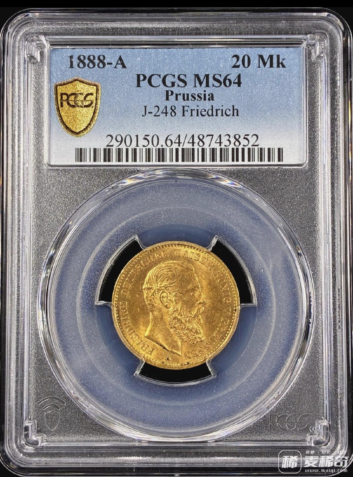 欣赏一下雨安的金币