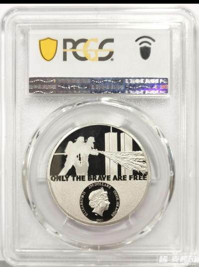 伟大的消防员，但是我觉得这个币设计的一般