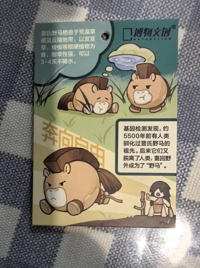 中国国家地理-博物文创【普氏野马】