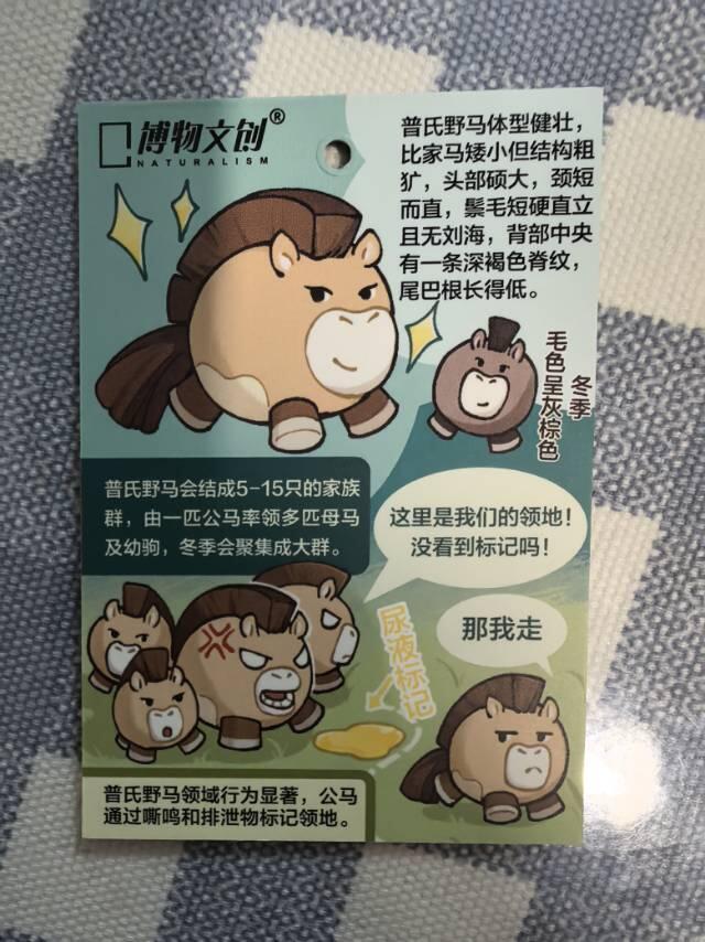 中国国家地理-博物文创【普氏野马】