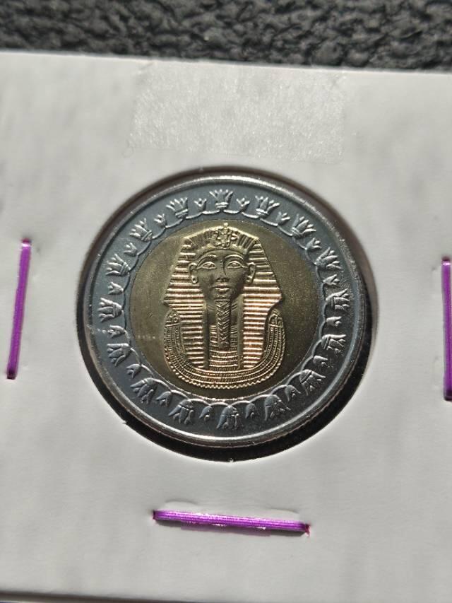 埃及纪念币