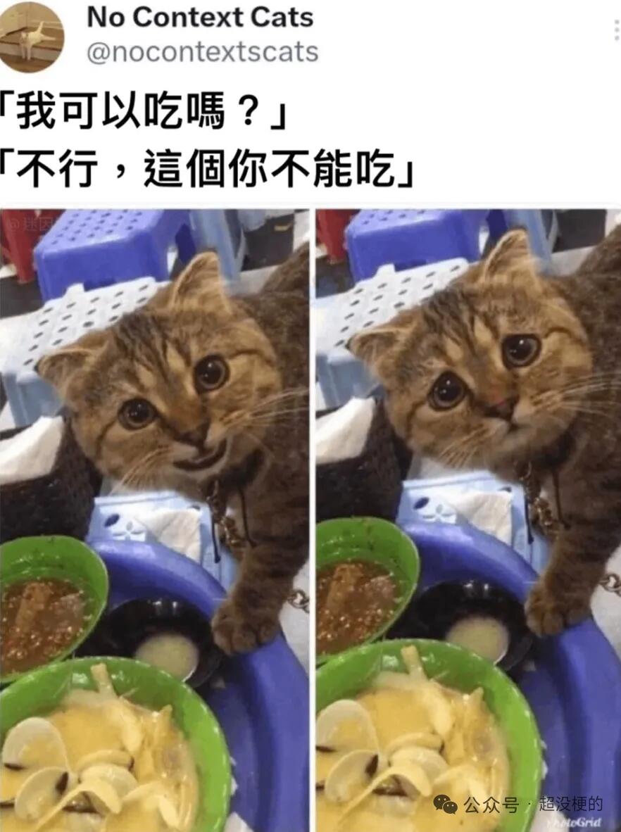 大清银币宣统三年壹圆（“大尾龙”版）