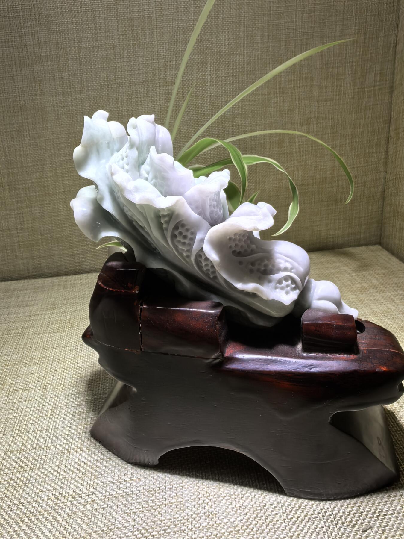 A货翡翠春带彩双色白菜摆件，尺寸含底座:15cm*13cm白菜因其名称谐音“遇百财”而被赋予招财纳福、富贵清白的寓意。附国检证书！