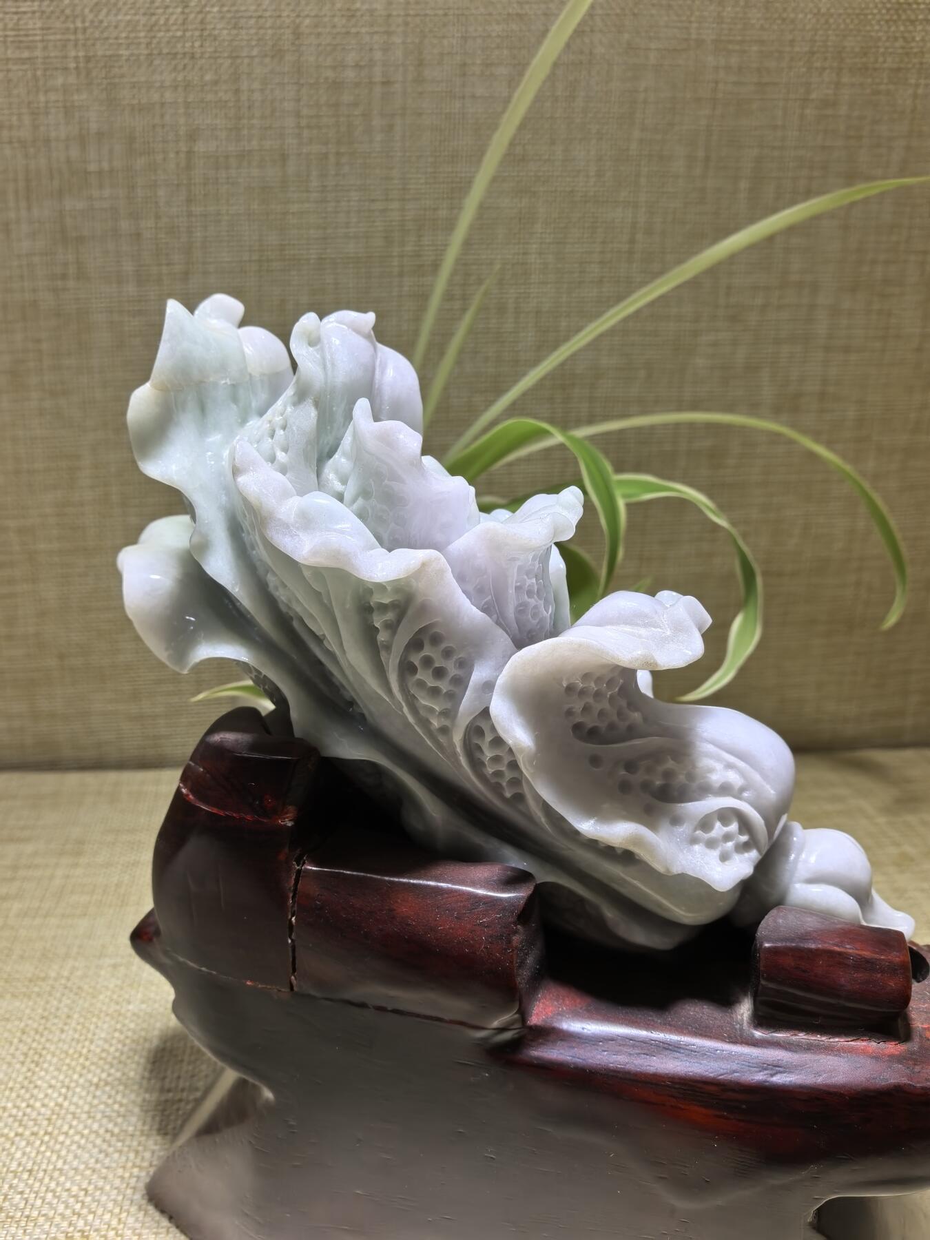 A货翡翠春带彩双色白菜摆件，尺寸含底座:15cm*13cm白菜因其名称谐音“遇百财”而被赋予招财纳福、富贵清白的寓意。附国检证书！