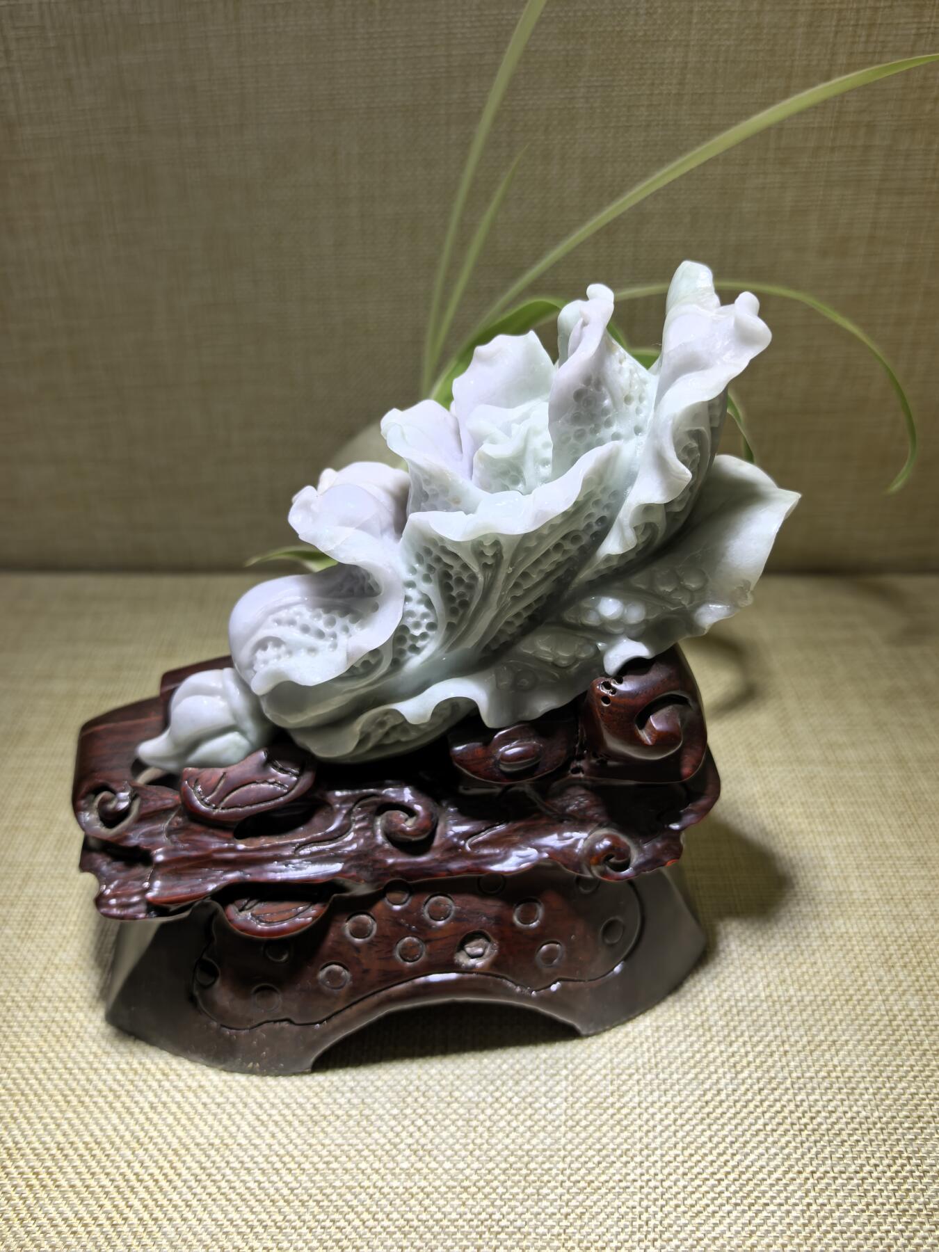 A货翡翠春带彩双色白菜摆件，尺寸含底座:15cm*13cm白菜因其名称谐音“遇百财”而被赋予招财纳福、富贵清白的寓意。附国检证书！