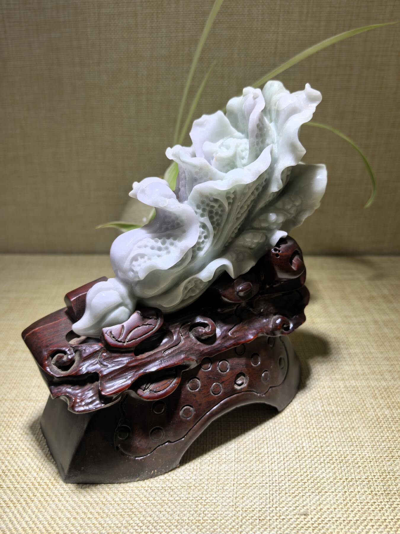A货翡翠春带彩双色白菜摆件，尺寸含底座:15cm*13cm白菜因其名称谐音“遇百财”而被赋予招财纳福、富贵清白的寓意。附国检证书！