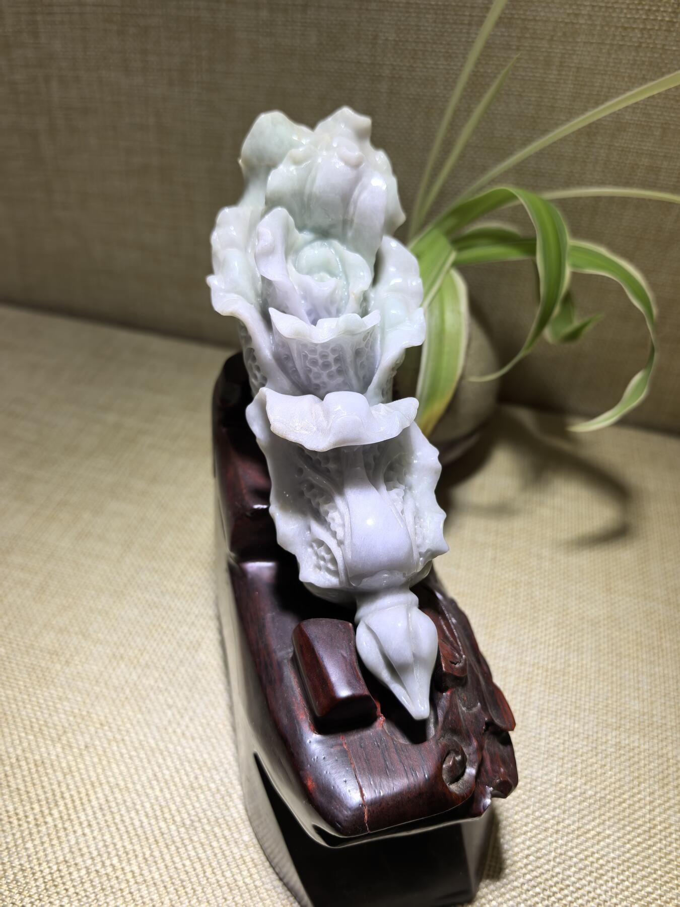 A货翡翠春带彩双色白菜摆件，尺寸含底座:15cm*13cm白菜因其名称谐音“遇百财”而被赋予招财纳福、富贵清白的寓意。附国检证书！