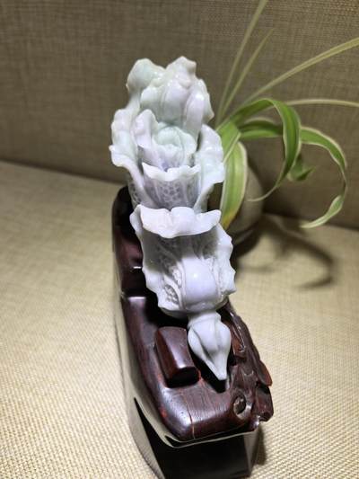A货翡翠春带彩双色白菜摆件，尺寸含底座:15cm*13cm白菜因其名称谐音“遇百财”而被赋予招财纳福、富贵清白的寓意。附国检证书！