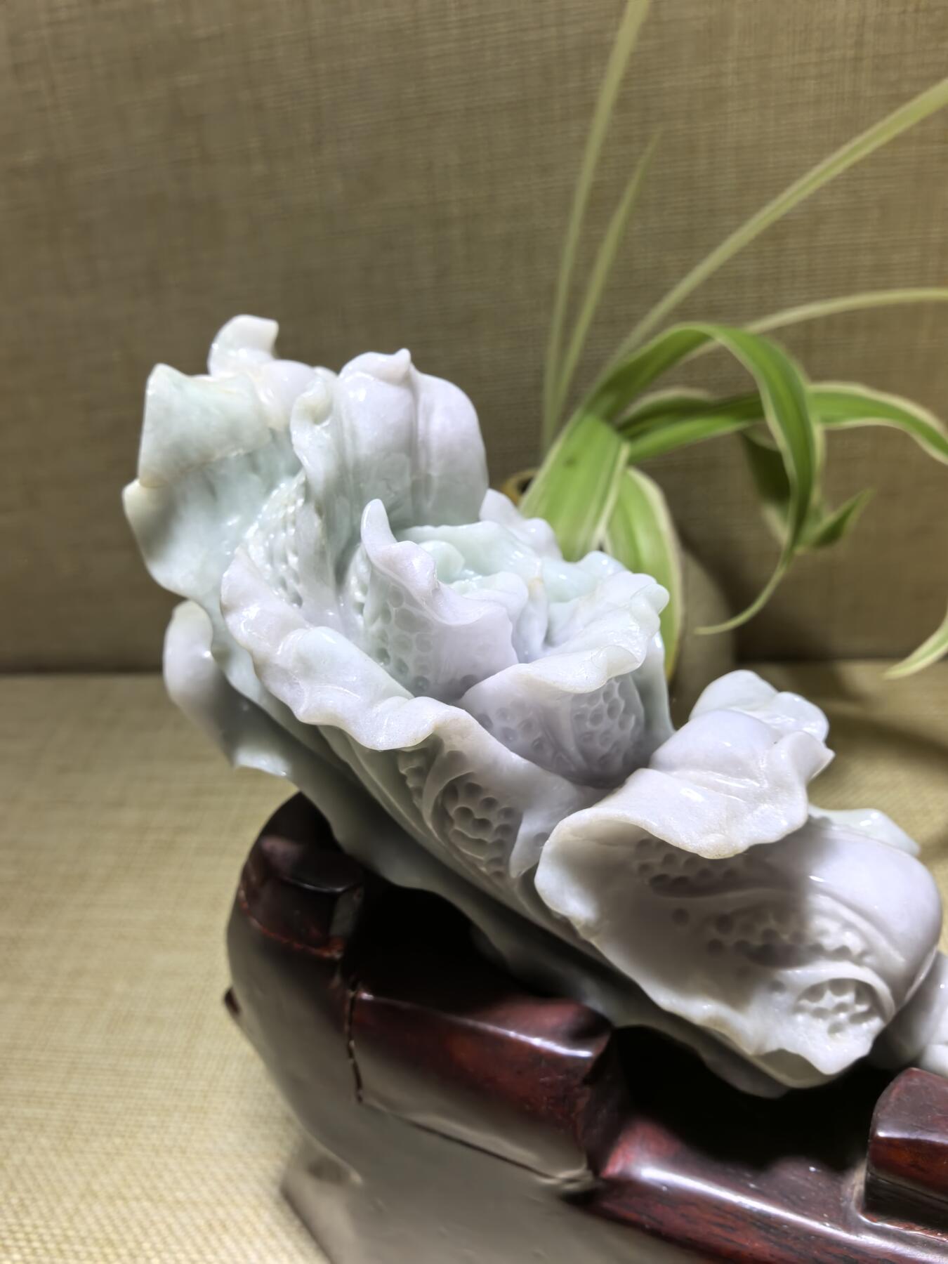 A货翡翠春带彩双色白菜摆件，尺寸含底座:15cm*13cm白菜因其名称谐音“遇百财”而被赋予招财纳福、富贵清白的寓意。附国检证书！
