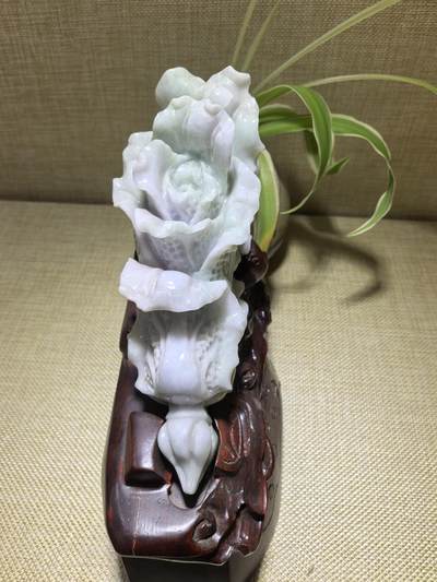 A货翡翠春带彩双色白菜摆件，尺寸含底座:15cm*13cm白菜因其名称谐音“遇百财”而被赋予招财纳福、富贵清白的寓意。附国检证书！