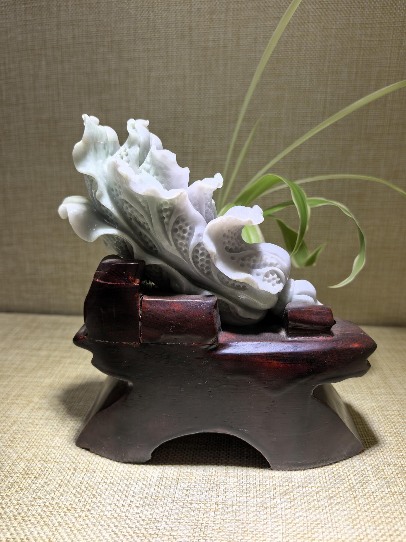 A货翡翠春带彩双色白菜摆件，尺寸含底座:15cm*13cm白菜因其名称谐音“遇百财”而被赋予招财纳福、富贵清白的寓意。附国检证书！