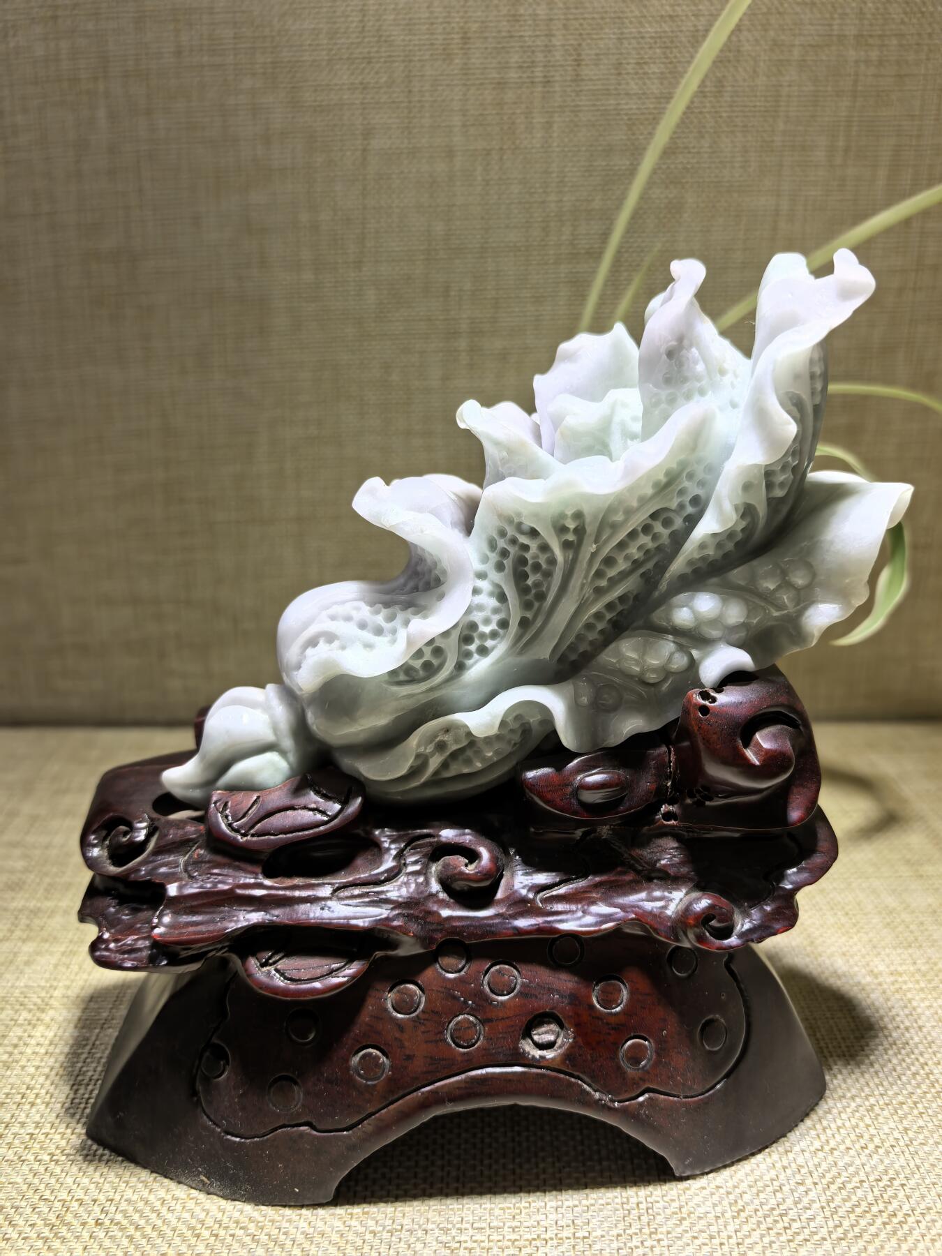 A货翡翠春带彩双色白菜摆件，尺寸含底座:15cm*13cm白菜因其名称谐音“遇百财”而被赋予招财纳福、富贵清白的寓意。附国检证书！