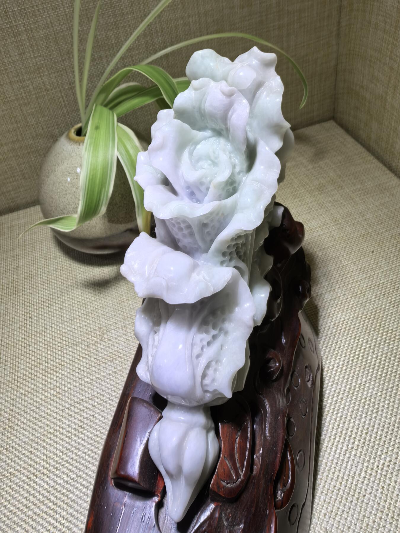 A货翡翠春带彩双色白菜摆件，尺寸含底座:15cm*13cm白菜因其名称谐音“遇百财”而被赋予招财纳福、富贵清白的寓意。附国检证书！