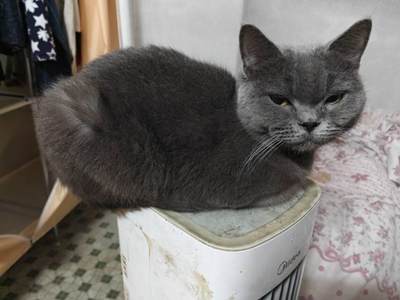 积分互点，点了的我都会去帮你点和评论