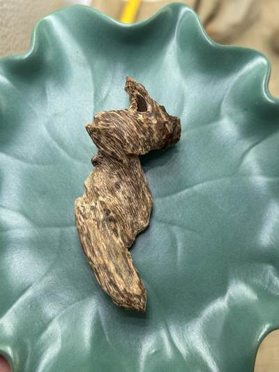 香港老货树心包