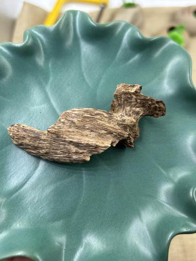 香港老货树心包