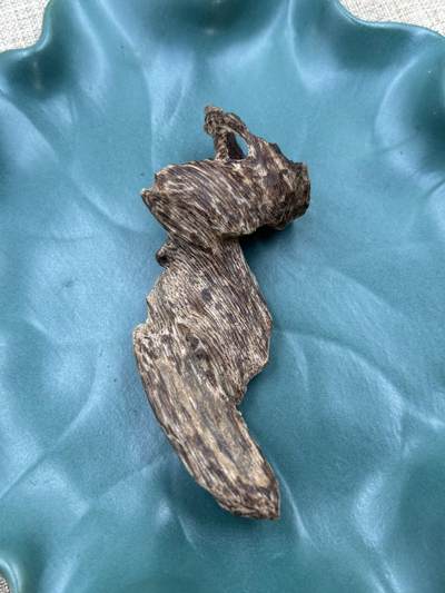 香港老货树心包