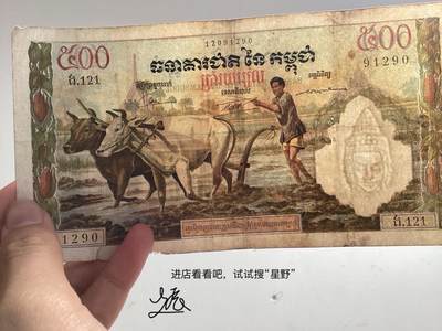 法属柬埔寨500瑞尔纸币油画风    流通品