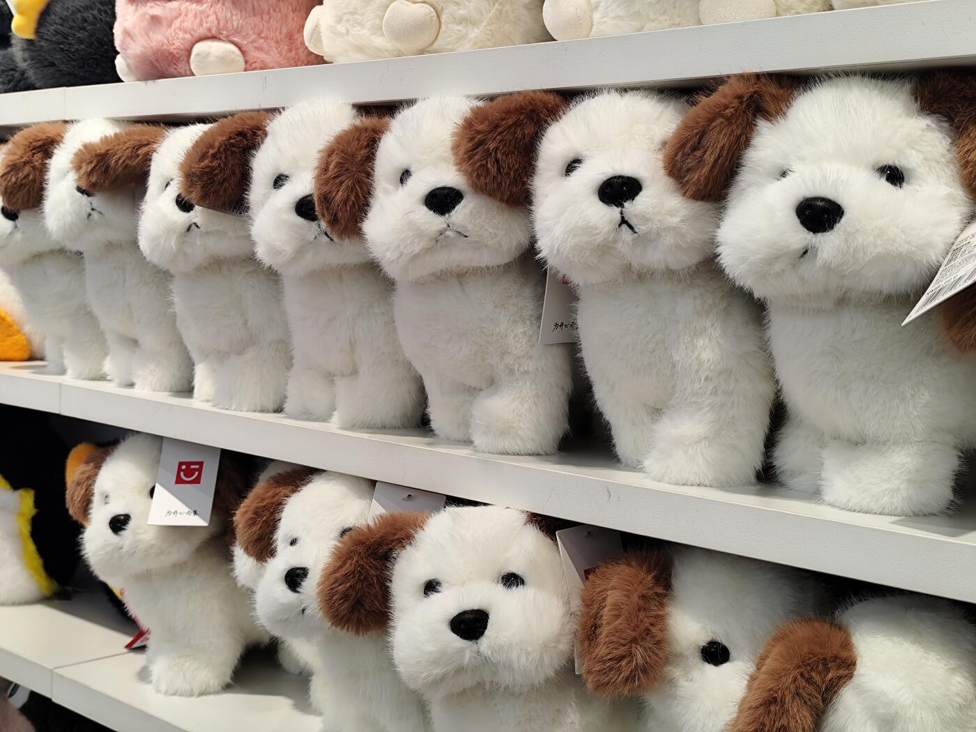 1934–1935 澳大利亚维多利亚州墨尔本百年纪念弗罗林币