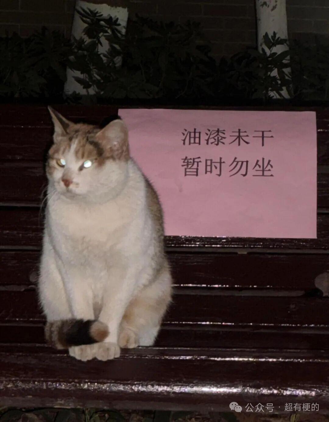 1964年东京奥运会1000日元纪念银币