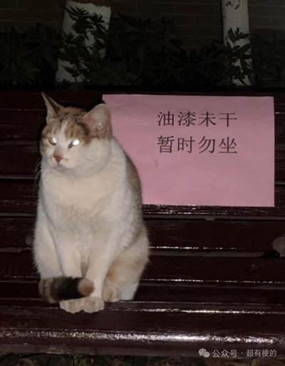 1964年东京奥运会1000日元纪念银币