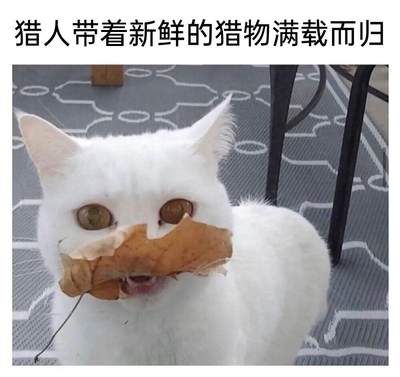 几内亚比绍独立后首套流通硬币