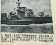 不该凋谢的玫瑰