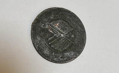 湖南双旗币梅花